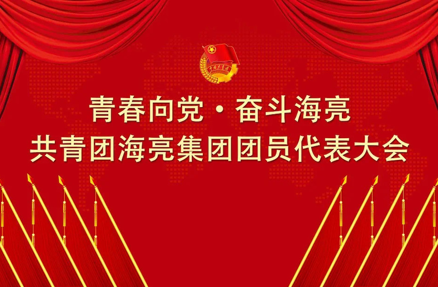 青春向党 · 奋斗海亮丨共青团海亮集团有限公司团员代表大会召开